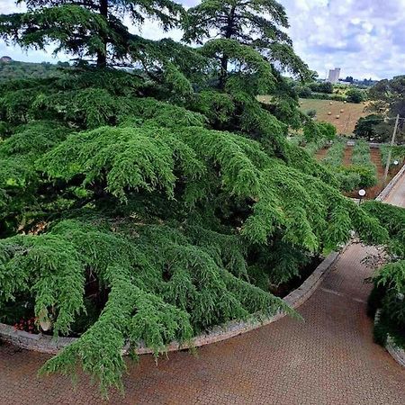 شقة Casina Foggia Dell'Albero بوتينيانو المظهر الخارجي الصورة
