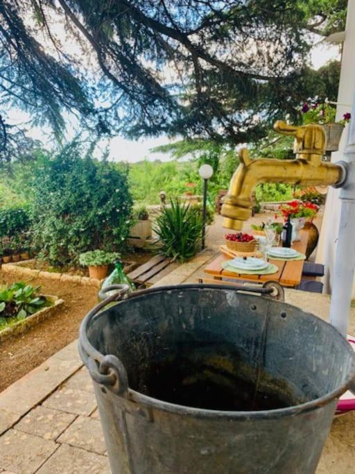 شقة Casina Foggia Dell'Albero بوتينيانو المظهر الخارجي الصورة