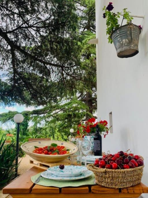 شقة Casina Foggia Dell'Albero بوتينيانو المظهر الخارجي الصورة